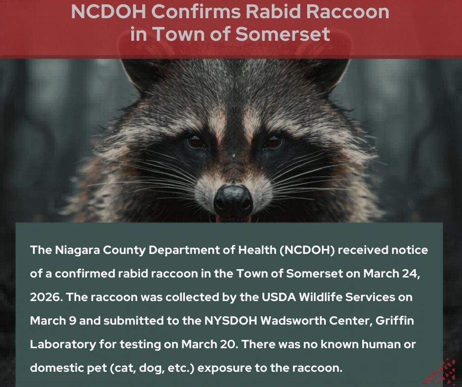 Rabid Raccoon.3.24.26